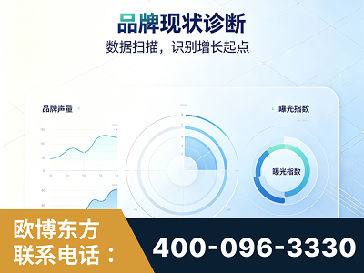 河源-品牌现状诊断