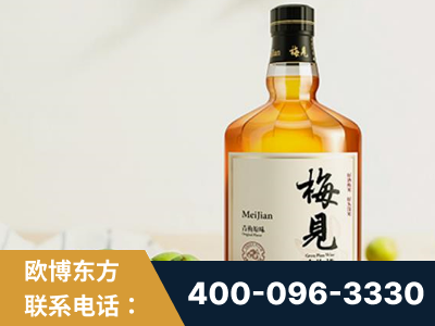 河源-梅见青梅酒